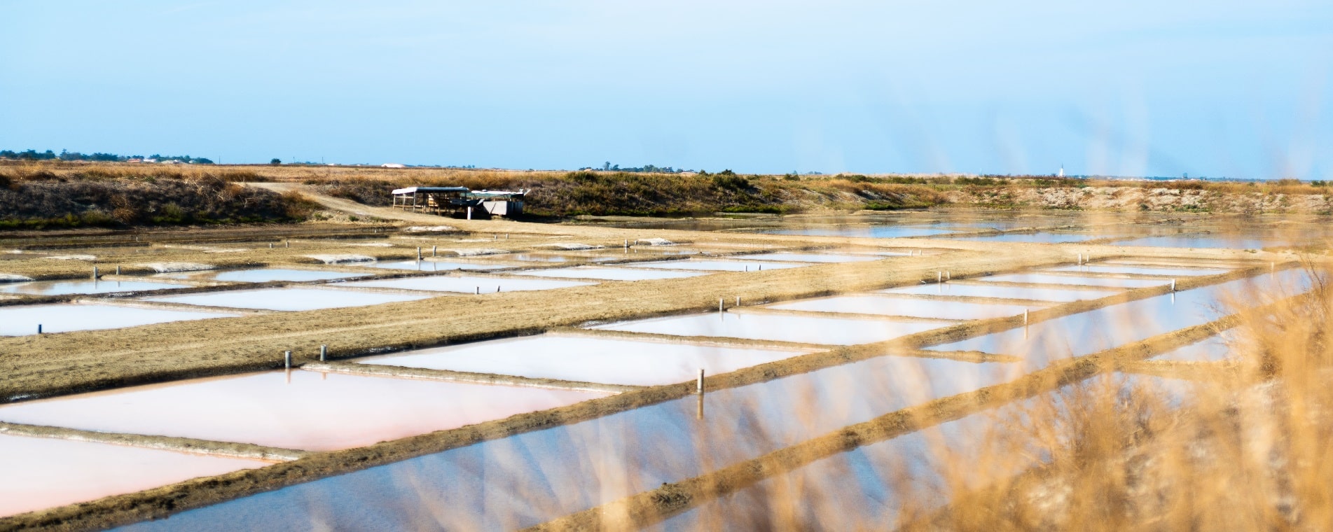 La Pêche à pied et les Marais Salants