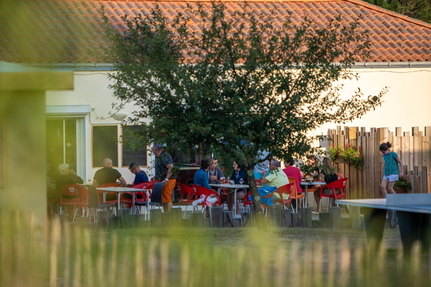 2020_BRILLAS_RESTO BAR_COYOTE (9)