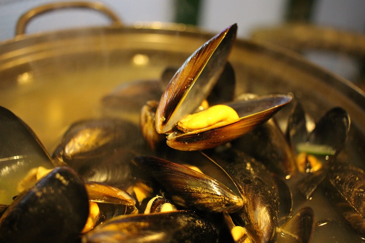 mussel-soup-678142_1280
