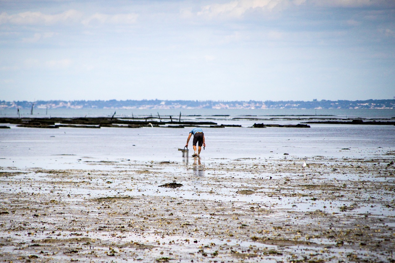 noirmoutier-2641384_1280