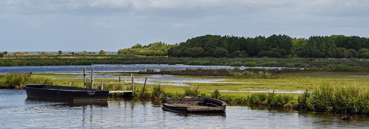 Parc Brière Loire Atlantique